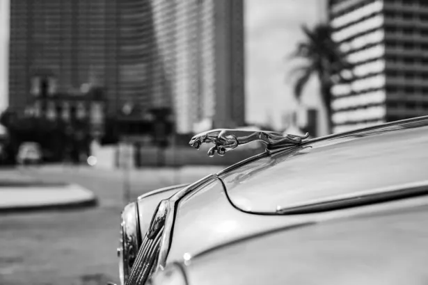 BetRegal Casino App Android/iOS